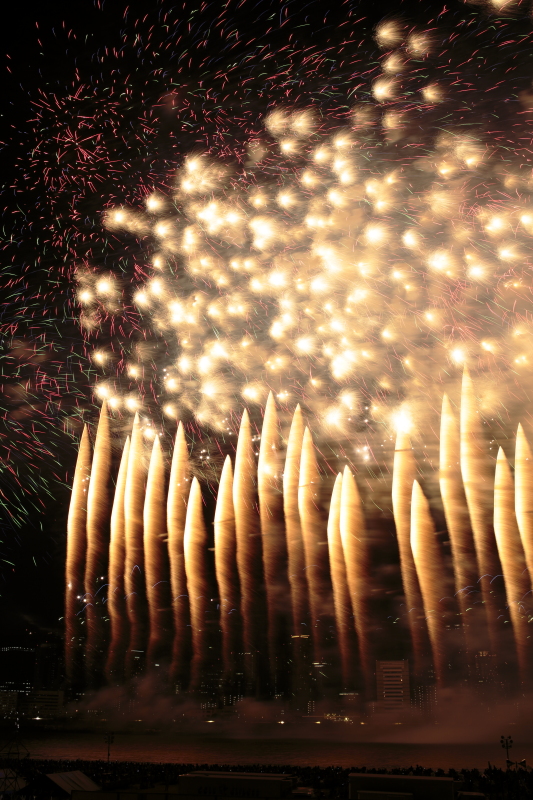 淀川花火の写真