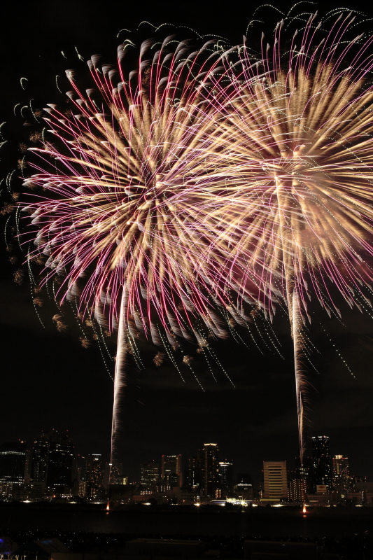 淀川花火の写真
