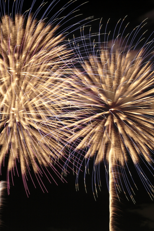 淀川花火の写真